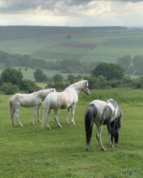 life on the countryside 🌿 #aesthetic #leonaph #photodump #countryside American Countryside Aesthetic, France Aesthetic Countryside, England Countryside Aesthetic, Country Side Aesthetic, French Countryside Aesthetic, Uk Vibes, French Countryside Home, English Countryside Aesthetic, France Countryside