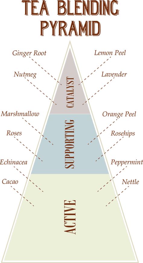 Mountain Rose Herbs Tea Blending Pyramid Guide To Tea, Tea Blending, Tea Blends Recipes, Teas Recipes, Mountain Rose Herbs, Homemade Tea, Herbal Teas Recipes, Herbal Recipes, Tea Diy