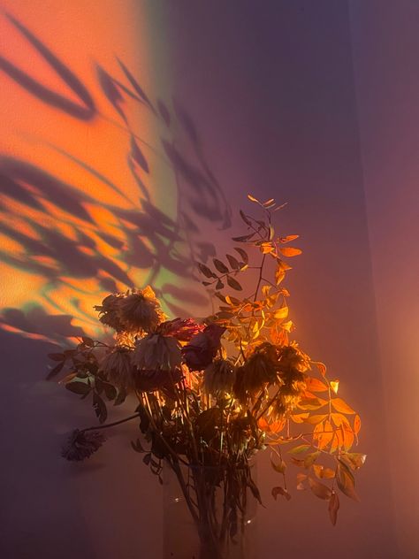 Two Flowers Aesthetic, Burnt Flowers Aesthetic, Flower Asthetics Drawings, Jerrycore Aesthetic, Light Floral Aesthetic, Burning Flowers Aesthetic, Wilting Flowers Aesthetic, Wilted Flowers Aesthetic, Flower Aesthetic Orange