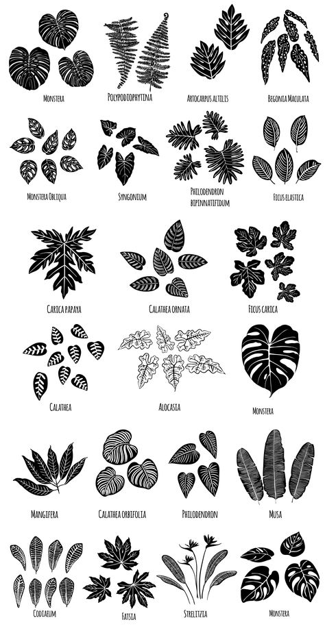 Tropical leaves Tropical Plant Tattoo Sleeve, Tropical Leaves Tattoo Design, Jungle Plants Tattoo, Monstera Arm Tattoo, How To Draw Tropical Leaves, Rainforest Tattoos, Tropical Foliage Tattoo, Plant Leaves Tattoo, Jungle Leaf Tattoo