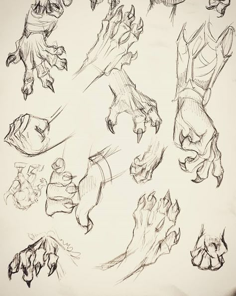 Werewolf Drawing, Hand Sketches, Dinosaur Illustration, Dragon Sketch, Werewolf Art, Hand Drawing Reference, Illustration Art Drawing, Creature Drawings, Anatomy Drawing