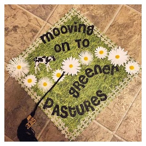 Cow Graduation Cap, Graduation Cap Images, Country Graduation, Grad Hats, School Certificate, Graduation Hats, College Grad Cap Ideas, Grad Cap Decorated, Graduation Cap Decoration Diy