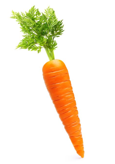 Carrot Drawing, Carrot Vegetable, Healthy And Unhealthy Food, Baby Apps, Adopt Idea, Creative Activities For Kids, Unhealthy Food, Food Drawing, Fruits And Vegetables