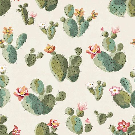 Iphone wallpaper cactus