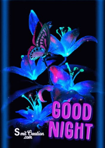 Good Night Gif Images, Cute Good Night Gif, Good Night Gifs Animation, New Good Night Images Gif, Good Night Animated, Flower Animated, Night Butterfly, Good Night Love Pictures, Good Night Prayer Quotes