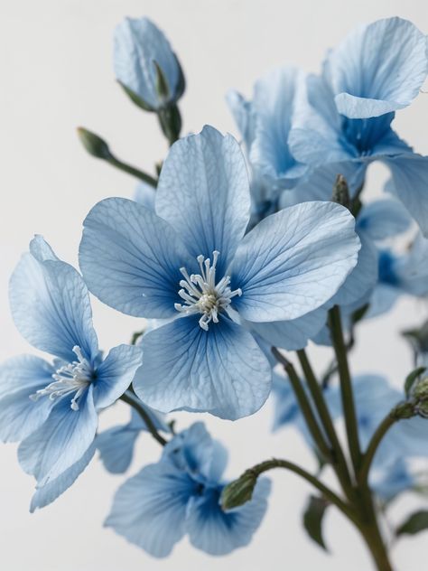 Our Light Blue Flowers create a peaceful atmosphere in any room. Enjoy! Light Blue Aesthetic Nature, Clean Aesthetic Blue, Bleu Clair Aesthetic, Pretty Blue Things, Light Blue Objects, Light Blue Asthetics Photos, White And Light Blue Aesthetic, Light Blue Flowers Aesthetic, Vision Board Blue Aesthetic