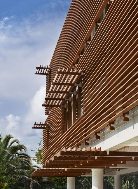 Modern interpretation of a Charleston single clad in ipe wood louvers that encourage a cross breeze. Nipa Hut, Wood Facade, Wooden Facade, Ipe Wood, House On Stilts, Contemporary Building, Single Wide, Wood Architecture, Solar Shades