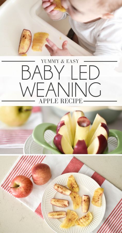 How To Steam Apples For Baby, Steamed Apples For Baby, Steamed Apples, Blw Foods, Led Weaning First Foods, Baby Led Weaning Recipe, Introduce Solids To Baby, Angel Pie, Apple Baby Food