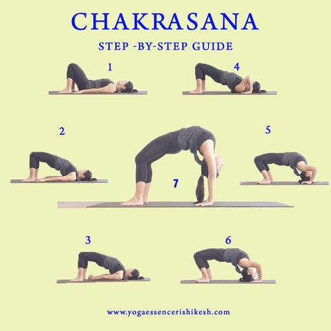 Chakrasana- Step by Step Guide Chakrasana How To, Prayanam Yoga, How To Do Chakrasana, Shirshasana Steps, Chakrasana Pose, Bone Exercises, Mckenzie Exercises, Workout Hacks, Meditation Teacher Training