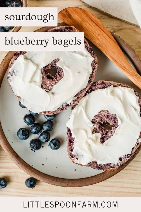 Blueberry Sourdough Bagels Easy Overnight Sourdough, Blueberry Bagels, Sourdough Blueberry, Puree Pumpkin, Overnight Sourdough, Sourdough Pumpkin, Sourdough Biscuits, Blueberry Bagel, Natural Yeast