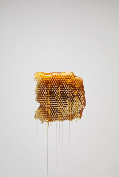 Beeswax Aesthetic, Sankta Lizabeta, Ingredient Photography, Bee Butts, Honey Cereal, Cereal Magazine, Makeup Ads, Wallpaper Pastel, Save The Bees