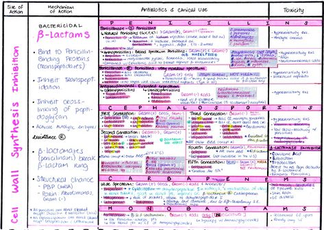 Antibiotics Chart, Antibiotics Pharmacology, Nursing Planner, Pharmacology Mnemonics, Pathophysiology Nursing, Charting For Nurses, Medical Terminology Study, Med School Study, Np School