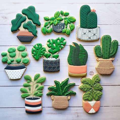 Plant Cookies, Punk Wedding, Crazy Plant Lady, Fancy Cookies, Flower Cookies, Plant Aesthetic, Wedding Cookies, Icing Cookies, Cookie Designs