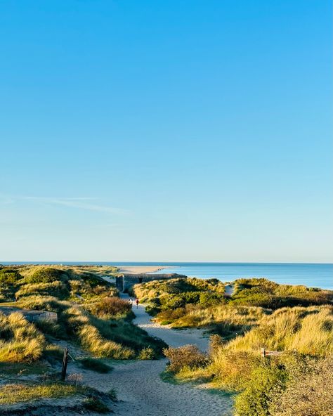 Skagen Denmark 🇩🇰, where the North Sea and Baltic Sea meet but never mix 😄! One is darker than the other one which is clearly visible to the naked eye! Beautiful place to visit during summer 🫶🏻! Follow for more such content 🫶🏻 [Denmark , Denmark travel, travel dairies, jumpsuit, fashion blogger, fyp, explore, pink jumpsuit, iexplore, explore page, traveller, Skagen ] #denmark #denmarktravel #jumpsuit #fashionblogger #fyp #explorepage #explore #iexplore #skagen #travelstyle #travelstyling Travel Dairies, Landscape References, Eye Beautiful, Skagen Denmark, Denmark Travel, Pink Jumpsuit, Place To Visit, North Sea, Skagen