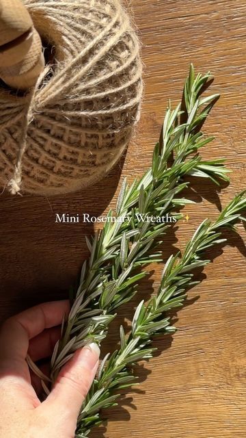 Mallow Market on Instagram: "These mini rosemary wreaths are so cute and easy to make! All you need is fresh rosemary and twine. Use them as place holders for your holiday table settings or string them on a garland. 🌲✨" Rosemary Wreaths, Place Holders, Table Decorating, Place Holder, Holiday Table Settings, Fresh Rosemary, Holiday Table, Holiday Tables, Christmas Table