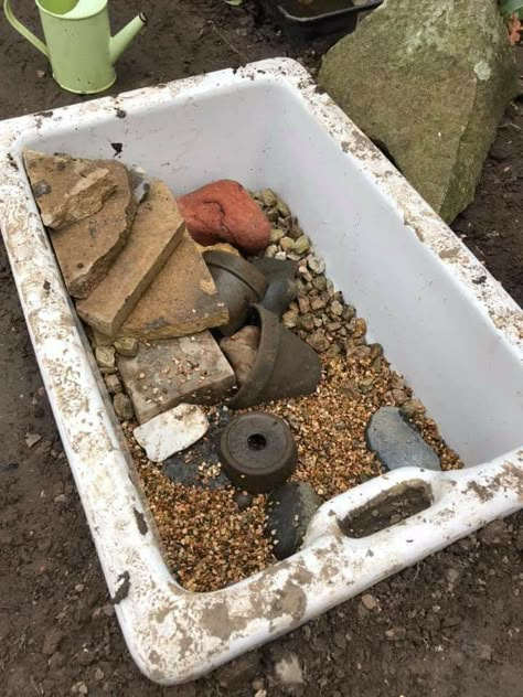 Horse Trough Fish Pond, Tiny Pond Ideas, Mini Wildlife Pond, Sink Pond, Belfast Sink Garden Pond, Diy Ponds Backyard Simple, Small Wildlife Pond, Diy Gnome Garden, Gnome Garden Ideas