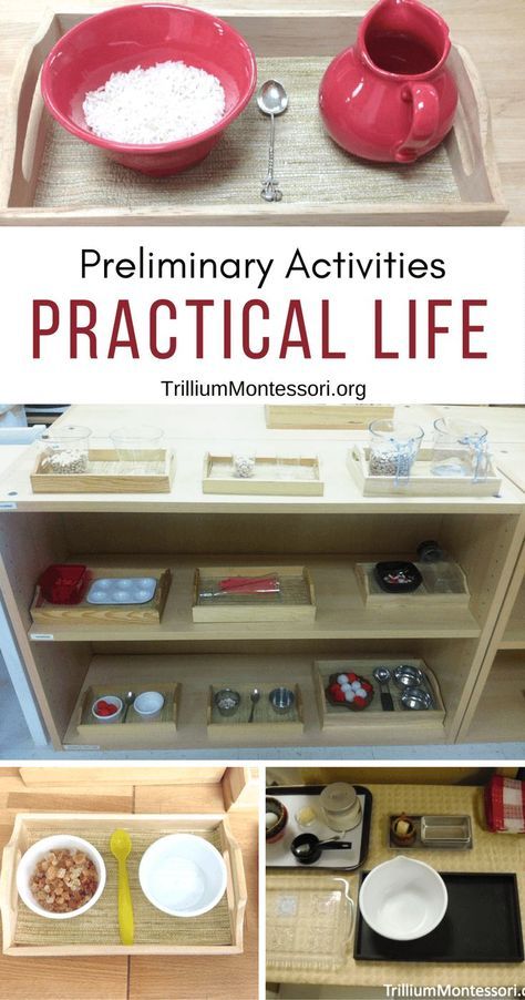 Montessori Preliminary Practical Life Activities Montessori October Practical Life, Montessori Classroom Practical Life, Cgs Practical Life, Montessori Practical Life 2-3, Epl Activities Montessori, Montessori Practical Life 3-6, Practical Life Activities For Toddlers, Practical Life Montessori, Montessori Jobs