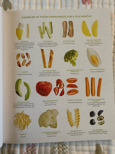 Weaning Chart, Carrots For 6 Month Old, Baby Solids Introduction, Best Foods To Start Baby On, Steamed Apples For Baby, First Foods For 6 Month Old, 6 Month Old Food Ideas Starting Solids, Home Made Baby Food 4-6 Months, Baby Lef Weaning 7 Months