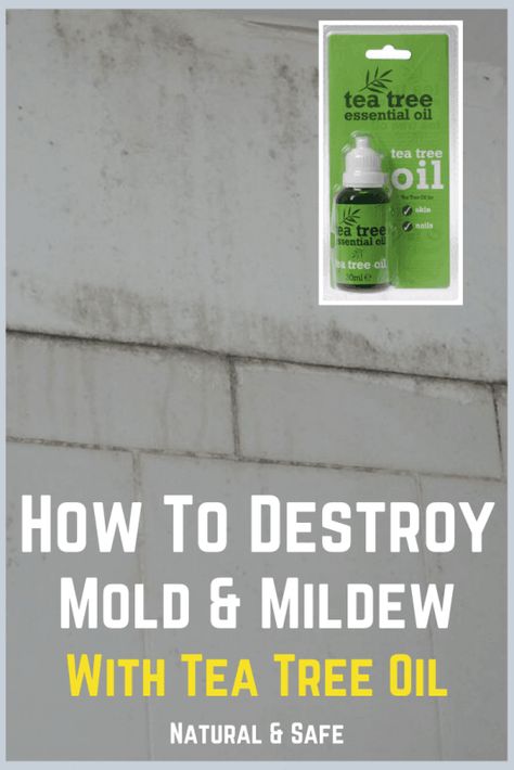 Mold Cleaner, Tea Tree Oil Skin, Mold And Mildew Remover, Stink Bug, Bug Trap, Remove Mold, Clean Baking Pans, Homemade Essential Oils, Toxic Mold