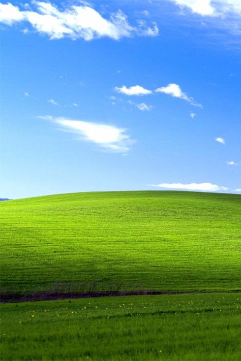 Remember That Classic Windows Wallpaper? Here's What It Actually Looks Like | Anyone who used a Windows computer remembers the iconic default wallpaper on XP: a hill with the greenest of grass, and a rich blue sky with a few clouds. In case you didn't know, it's a real place — and a Reddit user recently visited the area and took a photo of what it looks like today. Default Wallpaper, 2000 Wallpaper, Wallpaper Windows 10, Android Wallpaper Black, 2k Wallpaper, Classic Window, Vaporwave Wallpaper, Grass Wallpaper, Windows Wallpaper