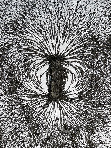 MIT Physics Demos Magnetic Field Lines of a Bar Magnet  Iron filings are sprinkled on a bar magnet, showing the magnetic field lines. Avantgarde Fashion, Magnet Drawing, Berenice Abbott, Art Science, Underwater Life, Magnetic Field, Vintage Cameras, Electrical Engineering, Science Art