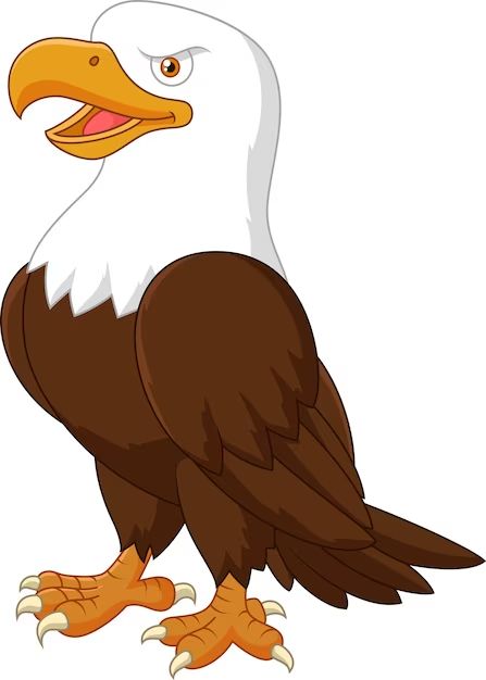 Eagle Cartoon Images - Free Download on Freepik Hawk Cartoon, Bald Eagle Images, Cute Eagle, Cartoon Eagle, Eagle Cartoon, Eagle Pose, Character Symbols, Eagle Vector, Eagle Images