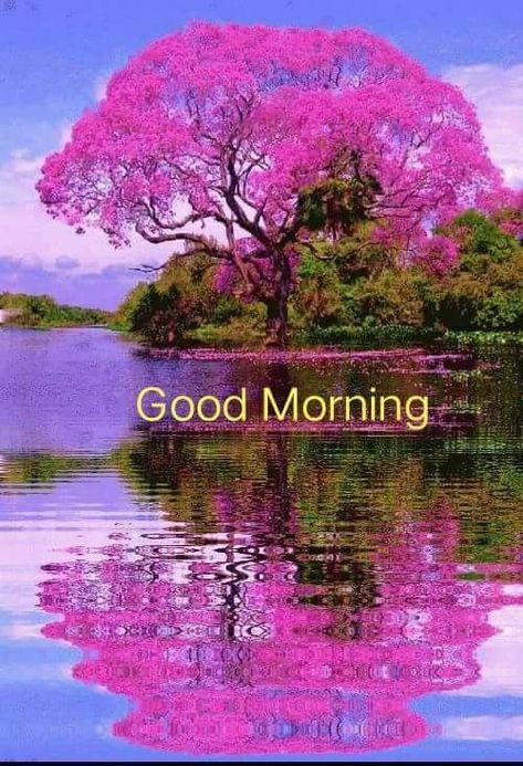 Good Morning Gif Images, Good Morning Nature Images, Nice Good Morning Images, Free Good Morning Images, Lovely Good Morning Images, Good Morning Happy Monday, Good Morning Beautiful Gif, Cute Good Morning Images, Morning Nature