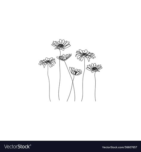 Fine Line Drawing Flowers, Daisy One Line Drawing, Flower Fine Line Drawing, Flowers Minimalist Drawing, Chamomile Tattoo Minimalist, Minimalist Flower Tattoo Line Drawings, Chamomile Flowers Drawing, Shasta Daisy Tattoo, One Line Daisy