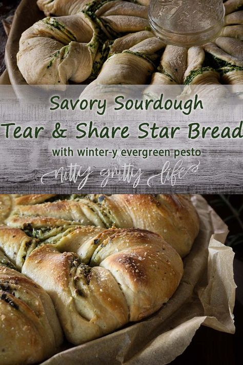 This impressive tear and share star bread is stunning and easy to make.  Learn how to make shape star bread filled with a savory pesto of winter greens, evergreens, and oranges with tangy sourdough for a festive holiday loaf! #starbread #christmasbaking #sourdough Holiday Loaf, Tear And Share Bread, Kitchen Chemistry, Star Bread, Winter Greens, Dough Recipes, Poached Pears, Sour Dough, British Baking