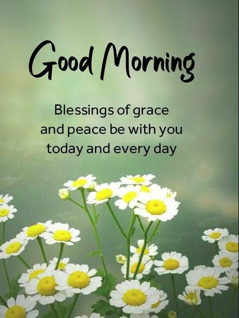 Good Morning Motivational Quotes, Inspirational Morning Prayers, Ladybug Quotes, Blessed Morning Quotes, Sweet Good Morning Images, Good Morning Wishes Friends, Good Morning Image, Good Sunday Morning, Morning Board