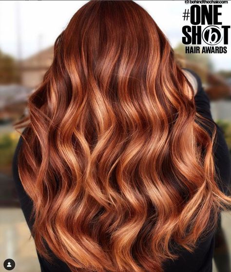 Auburn Hair Color With Highlights, Medium Auburn Hair Color, Highlights In Brown Hair, Hair Color With Highlights, Auburn Blonde Hair, Medium Auburn Hair, Auburn Hair With Highlights, Red Hair Ideas, Light Auburn Hair Color