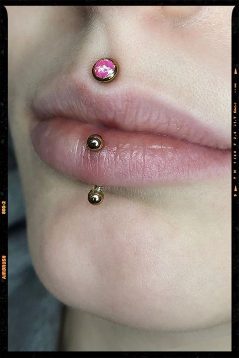 Medusa and Labret Piercing Ideas Medusa And Lip Piercing, Vertical Nose Tip Piercing, Vertical Labret And Medusa, Labret And Medusa Piercing, Medusa And Vertical Labret Piercing, Medusa Piercing Small Lips, Medusa Piercing Scar, Medusa Piercing Aesthetic, Medusa Lip Piercing