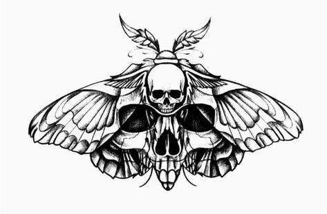 Skull Moth Tattoo Stencil, Scull Moth Tattoo, Retro Cartoon Tattoos, Skeleton Moth Tattoo, Deadhead Moth Tattoo, Edgy Feminine Tattoo, Moth Tattoo Blackwork, Moth With Skull Tattoo, Skull Moth Tattoo Design