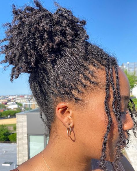 Microlocs ponytail updo Microlocs Ponytail, Updos For Short Microlocs, Short Microlocs Updo, Cornrows On Microlocs, Loc Bob On Micro Locs, Microlocs Installation, Mirco Locs, Loc Ponytail, Mini Locs