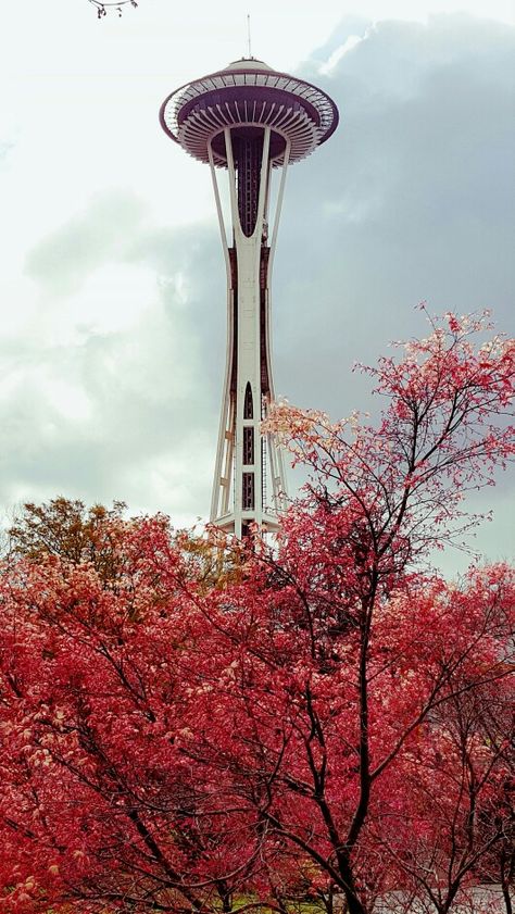 Space Needle and Cherry Blossom, Seattle Seattle Usa, Space Needle Seattle, Spring Aesthetic, Dream City, 2025 Vision, Space Needle, Art References, Life Inspiration, Cherry Blossoms