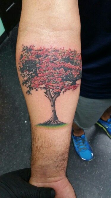 Flamboyant tree tattoo #deutuadopalmundo Flamboyant Tree Tattoo, Flame Tree Tattoo, Flamboyan Tree Tattoo, Flame Tree, Cloud Tattoo, Tree Tattoo, Watercolor Tattoo, Art Style, Tattoos