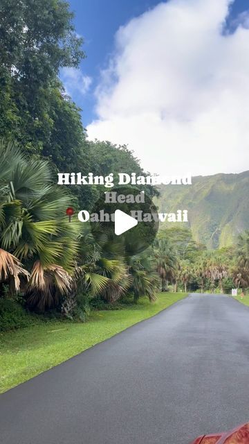 Mary-Lyn Buckley on Instagram: "Missing warm weather and Hawaii 🌺 sharing a throwback to when I woke up early to do the best solo hike at Diamond Head #diamondhead #hawaii #travelhawaii #oahu #diamondheadstatemonument #hawaiitrip #hike #diamondhead #hawaiihike #thewhitelotus" Diamond Head Oahu, Diamond Head Hawaii, Hawaii Hikes, Diamond Head, How To Wake Up Early, Hawaii Travel, Wake Me Up, Girls Best Friend, Oahu