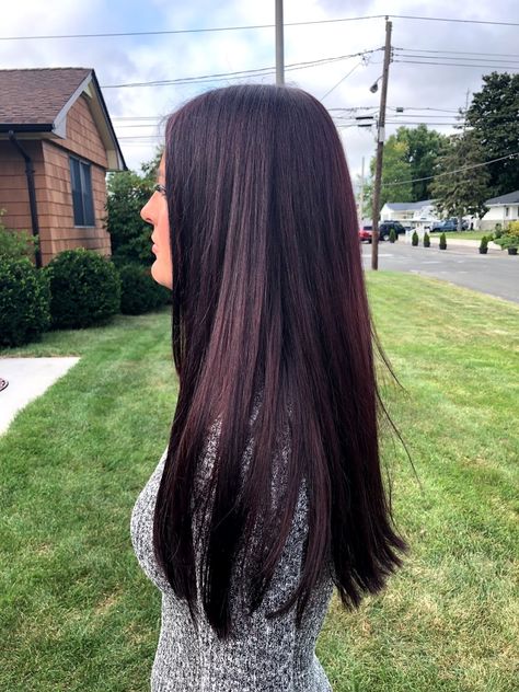 Brown Hair For Fall, Dark Red Brown Hair, Brown Hair Dyed Red, Dark Red Hair With Brown, Deep Purple Hair, Hair For Fall, Bright Purple Hair, Purple Hair Highlights, Purple Ombre Hair