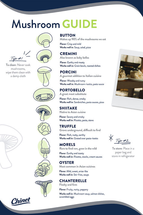 From crimini to procini, learn the differences between mushrooms before you add them to you meal. Get the mushroom guide. Mushroom Guide, Crimini Mushrooms, Pasta Sauces, Grain Bowl, Mushroom Risotto, 15 Minute Meals, Meat Substitutes, Recipe Organization, Bean Recipes