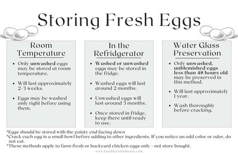 How to Store Your Backyard Chicken Eggs (With Printable Chart) Egg Production Chart, Egg Facts, Storing Eggs, Chicken Snacks, Backyard Chicken Farming, Chicken Life, Chicken Health, Chicken Garden, Farm Eggs