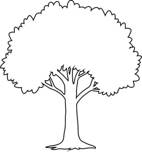 Outline Tree Drawing, Leafless Tree Drawing, Tree Outline Drawing, Simple Tree Drawing, Tree Drawing For Kids, Family Tree Clipart, Tree Black And White, Tree Drawing Simple, Preschool Creative Art