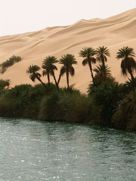 Ubari (or Awbari), Libya Libya Desert, Arabian Desert Aesthetic, Siwa Egypt, Egypt Aesthetic, Desert Aesthetic, Desert Oasis, Abundance Mindset, المملكة العربية السعودية, Libya