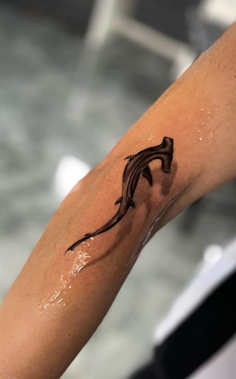 Men Shark Tattoo, Shark Calf Tattoo, Shark Tattoo On Forearm, Ghost Shark Tattoo, 3d Shark Tattoo, Shark Underboob Tattoo, Shark And Turtle Tattoo, Swimming Shark Tattoo, Blacktip Reef Shark Tattoo