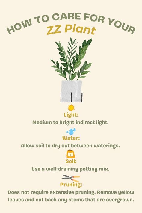 Yep. ZZ plant is Zanzibar Gem. Here's how you take care of this amazing plant! #houseinterior #plantdesign #interior_and_home #interiorrewilding #livingdesign #growlights Zanzibar Plant, Zanzibar Gem, Indoor Plant Care Guide, Zz Plant, Plant Care Tips, Indoor Plant Care, About Plants, Bedroom Plants, Plant Lighting