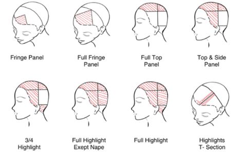 Colour — STORM Hair Group Hair Sectioning Diagram, Partial Highlight Placement Diagram, Hair Dye Placement Diagram, Hair Color Placement Techniques, Hair Color Foil Placement, Sections For Highlights, Highlight Sectioning Hair, Foil Placement For Highlights, Section Hair For Color