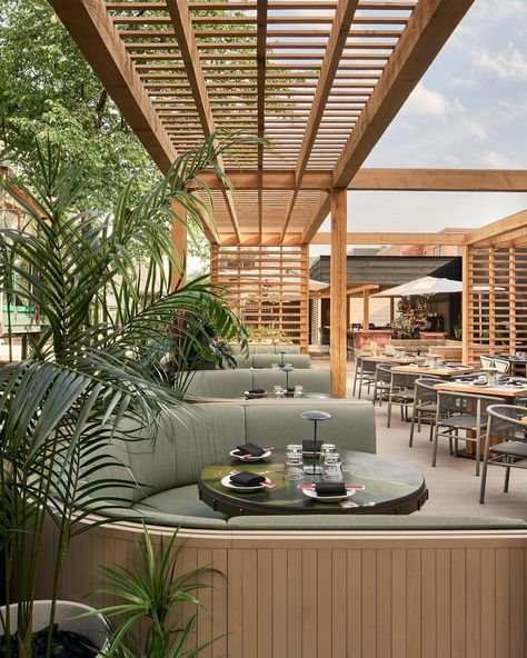 Chats • Instagram Hotel Rooftop Design, Rooftop Restaurant Design Terraces, Rooftop Bar Design, Reclaimed Decor, Rooftop Restaurant Design, Stylish Outdoor Furniture, Terrace Restaurant, Rooftop Design, Building Community