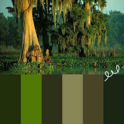 Swamp color palette Swamp Colour Palette, Marsh Color Palette, Bayou Color Palette, Swamp Color Palette, Dinosaur Coloring, Paint Colour, Color Spectrum, Aesthetic Colors, Experiential