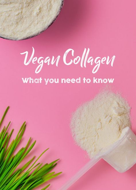 Vegan Collagen Foods High In Collagen, Collagen From Food, Plant Based Collagen Sources, Vegan Collagen Sources, Food Rich In Collagen, What Is Collagen, Top Anti Aging Products, Vegan Supplements, Vegan Collagen