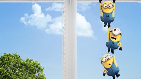 Best Wallpapers For Laptop, Minion Wallpaper Hd, 8k Resolution Wallpapers, Computer Wallpaper Hd, Hd Wallpapers For Laptop, Minion Banana, Hd Wallpapers For Pc, Minion Movie, Cute Minions