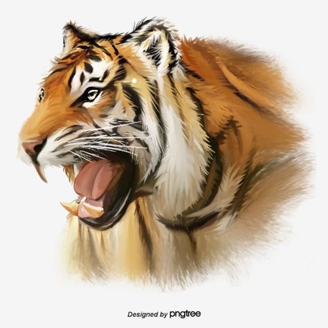 fierce and fierce,ferocious,head portrait,hand painted,beast of prey,tiger,tiger garden,beast,tiger clipart,head clipart Banner Background Images Hd Png, Ferocious Tiger, Tiger Quotes, Fur Background, Tiger Silhouette, Tiger Png, Hd Happy Birthday Images, Funny Tiger, Tiger Images